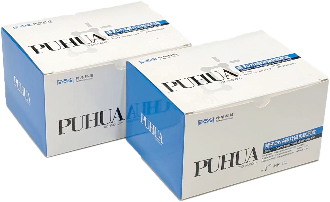 精子DNA碎片染色试剂盒
