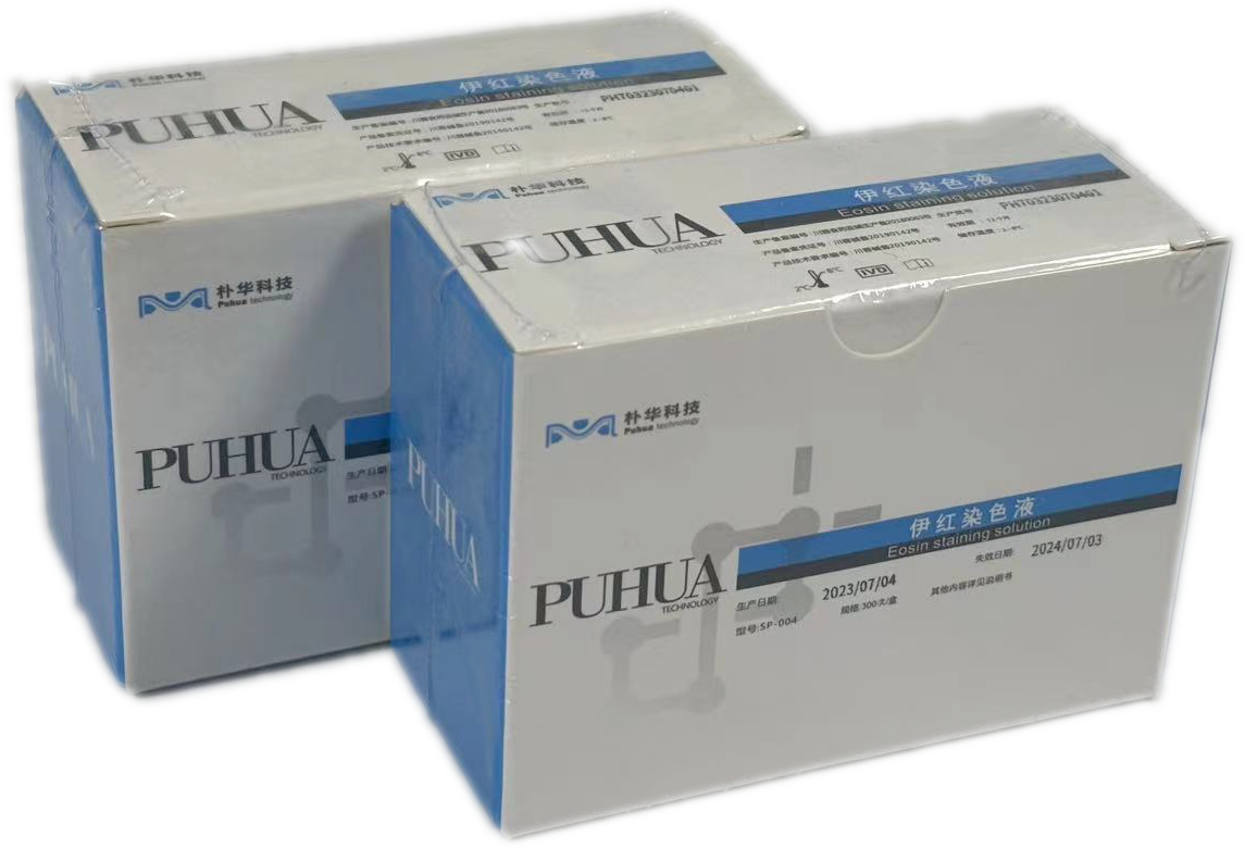 伊红染液